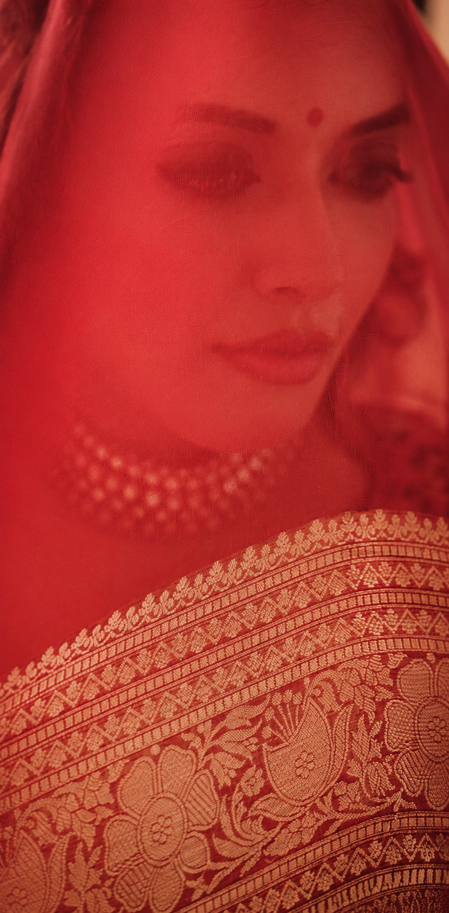 Aparajita carmine red pure tissue silk Banarasi saree, pallu detail