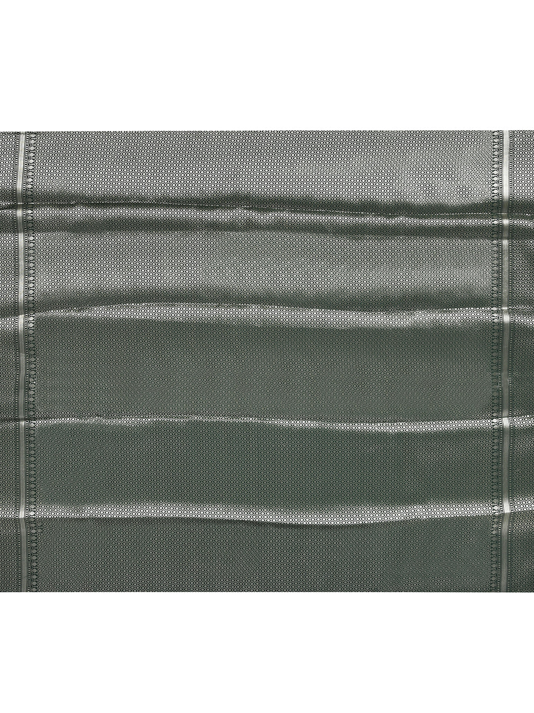 Panna Emerald Green Striped Banarasi Saree – studio shot 1